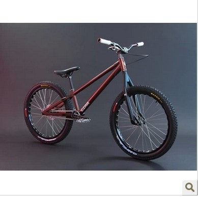 CZAR ECHO-2016 24-inch street car street bike street car NS vehicle