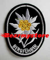 German Mountain Division guide officer of the Velvet Embroidery arm of the German Mountain Force of the Velvet Embroidery Arm Chapter