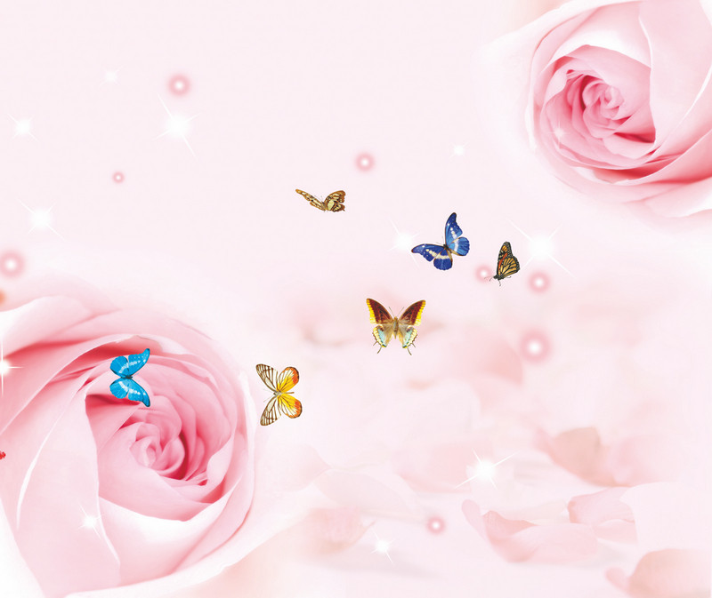 ������ҵ��þ���Ͻ�д����������sg375