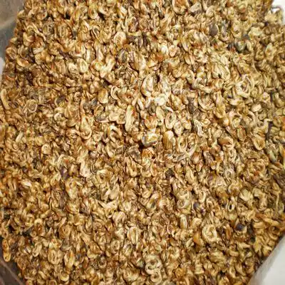 Special offer Golden Silk Dianhong Tea Golden Bud Biluo Golden Goku Black Tea Golden Snail Dianhong is thicker than Jinjun Eyebrow 50g