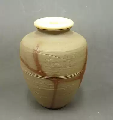 Japan Tao Feng is ready to burn tea cans tea set