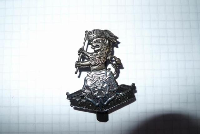 Brand new British Army original British Army Yorkshire Regione Berehat Emblem Green Bronze and Golden Optional