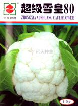 Super Snow Emperor 80 cabbage seeds cauliflower seeds cauliflower seeds vegetable seeds broccoli seeds