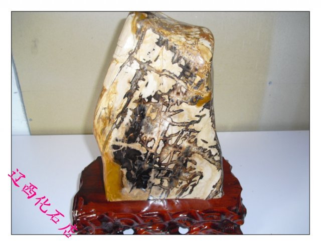 Liao Xi Natural Ancient Biochi Stone Sightseeing Stone Boutique Tree Fossil Pattern Stone (Desert Hu Yanglin) 916