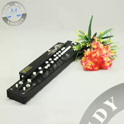 Retro Phoenix Qin Dashuangqin Five Strings 205 Dazheng Qin