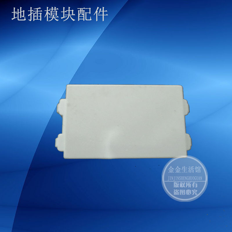 Ground plug module Blank module 128 fill in the blank Ground plug accessories