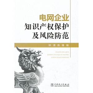 正版电网企业知识产权保护及风险防范