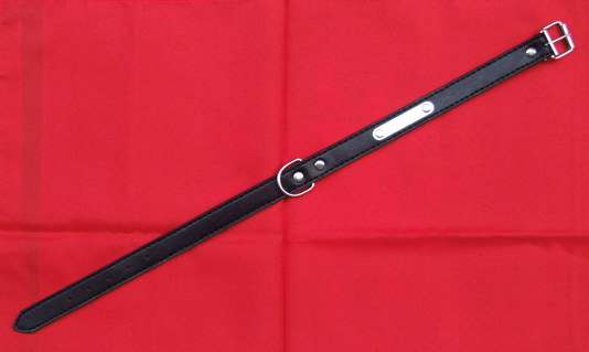 Total length 48 cm of the foreign trade pet neck ring F