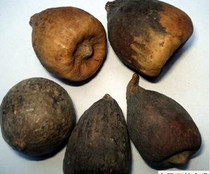 Traditional Chinese medicine herbs mu man tou 500 grams