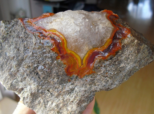Liao Xi Natural Chishi Stone Sightseeing Petrochemical Stone Tree Fossil Silicon Chemical Wood Warfare National Red Onyx manau boutique original stone 3389