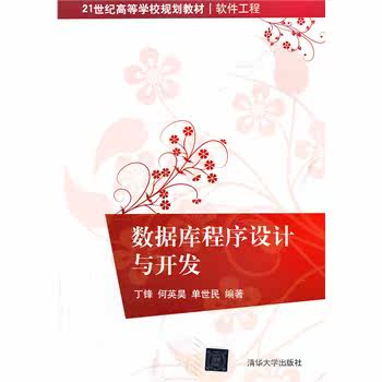 数据库程序设计与开发（21世纪高等学校规划教材软件工程）