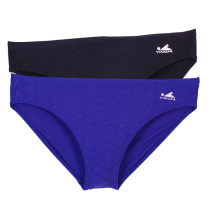  English Hair Professional Competition Racing style Racing Triangular Swimsuit Pants Fish Scale 9201 has a go-to-water line