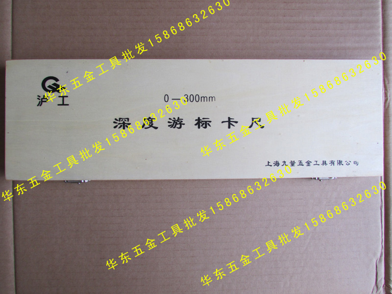 Shanghai LuICBC Depth Ruler 0-150 0-150 0-200 0-300mm Depth Card Ruler Cruise scale
