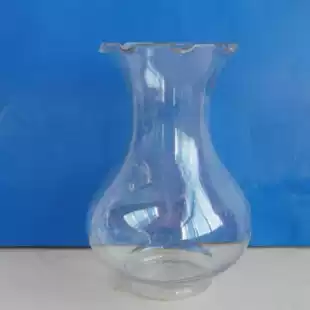 Hyacinth special vase Transparent plastic hydroponic seed ball special high-quality flower device