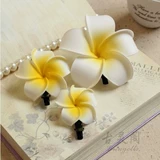 Аксессуары для горячих весенних аксессуаров с яйцом яйца цветов.