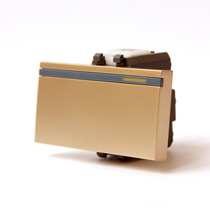 Chint electrician switch socket multi-control large sub-switch module champagne color only for NEW9E series