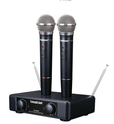 The Winning TS-2200 Wireless Micromic One Drag Two Singing KTV Stage Conference Microphone Speech Chair Dewin