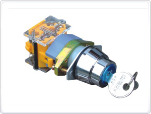 Two-work LA39-11Y2 self-lock two-gear with key knob select switch diameter 22MM