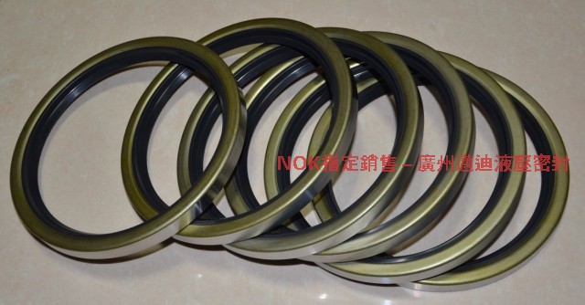 Japan NOK original skeleton oil seal:AB4063-A0 SB 100*125*13