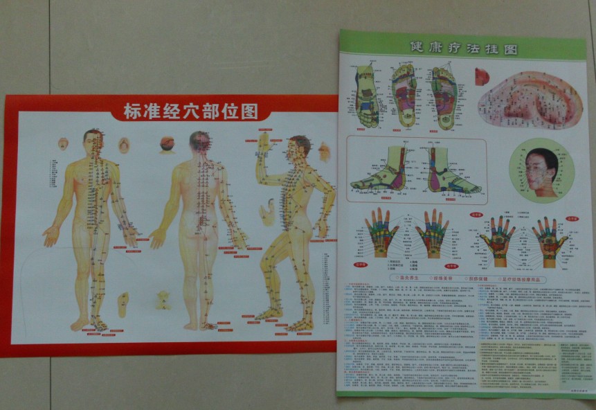 6 acupoints map Moxibustion and scraping acupoint map Double-sided map Part map Acupoint map of the whole body