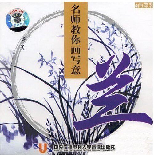 名师教你画写意之兰 (2VCD)