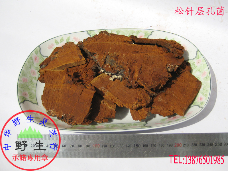 Pure wild Ganoderma lucidum (Pine needle slices, high-quality goods) promises to deliver in Wuzhishan District