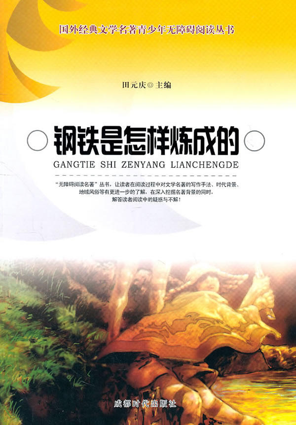 正版包邮钢铁是怎样炼成的正品图书书籍