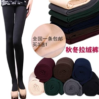 Mùa thu và mùa đông dày tóc chải duỗi và nhung chín điểm trên bàn chân và thậm chí cả quần legging legging tất nữ quần tất nữ mùa đông