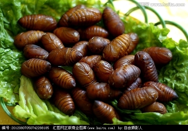 Northeast Tussah Silkworm Chrysalis Pupa Jack 500 gr High Protein Yellow Chrysalis Fresh silkworm cocoon Heilongjiang Chicken West Silkworm Chrysalis