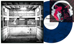 RANE SCRATCH LIVE SERATO Timecode Kendra Morris Concrete Waves