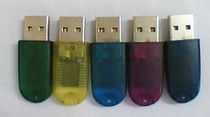 Domain Day NCL-1 Network Authorized Password-type dongle hard copy support upgrade
