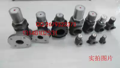 Deslan screw air compressor DN65 safety valve temperature control valve spot