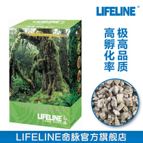 (LIFELINE命脉)无菌蛭石孵化孵蛋龟4L4升