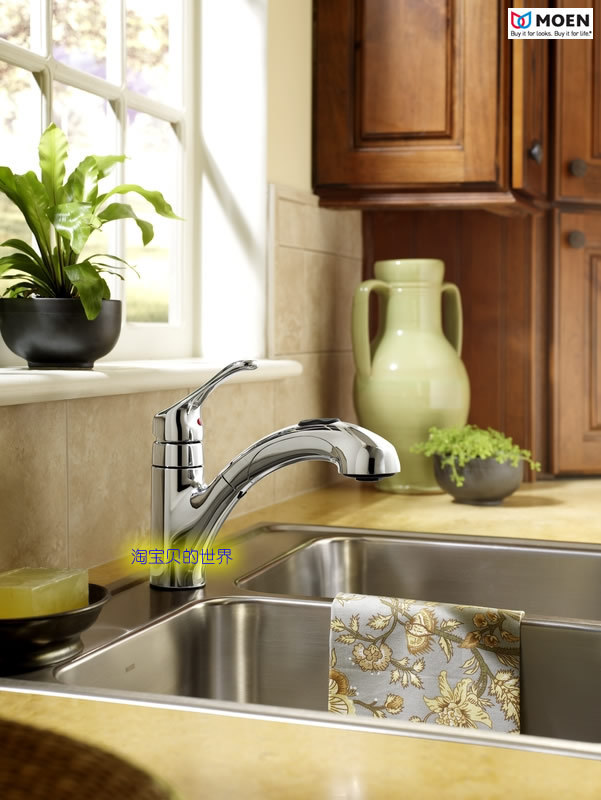 Moen Renzo Series Chrome-Plated Pull-Out Kitchen Faucet
