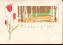 Su Shimai Postage Pic-Tulip Landscape Congratulations on 63 Years
