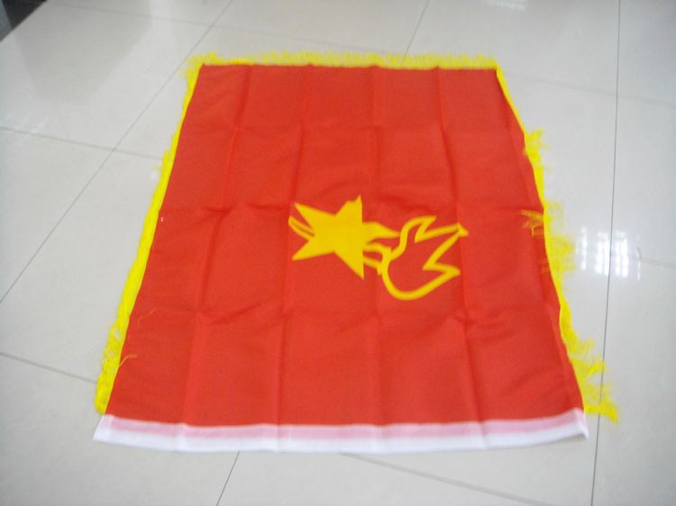 Seawave instrument Young pioneer drum team supplies with spike spun spun textile fabric junior group flag hot sales recommendation