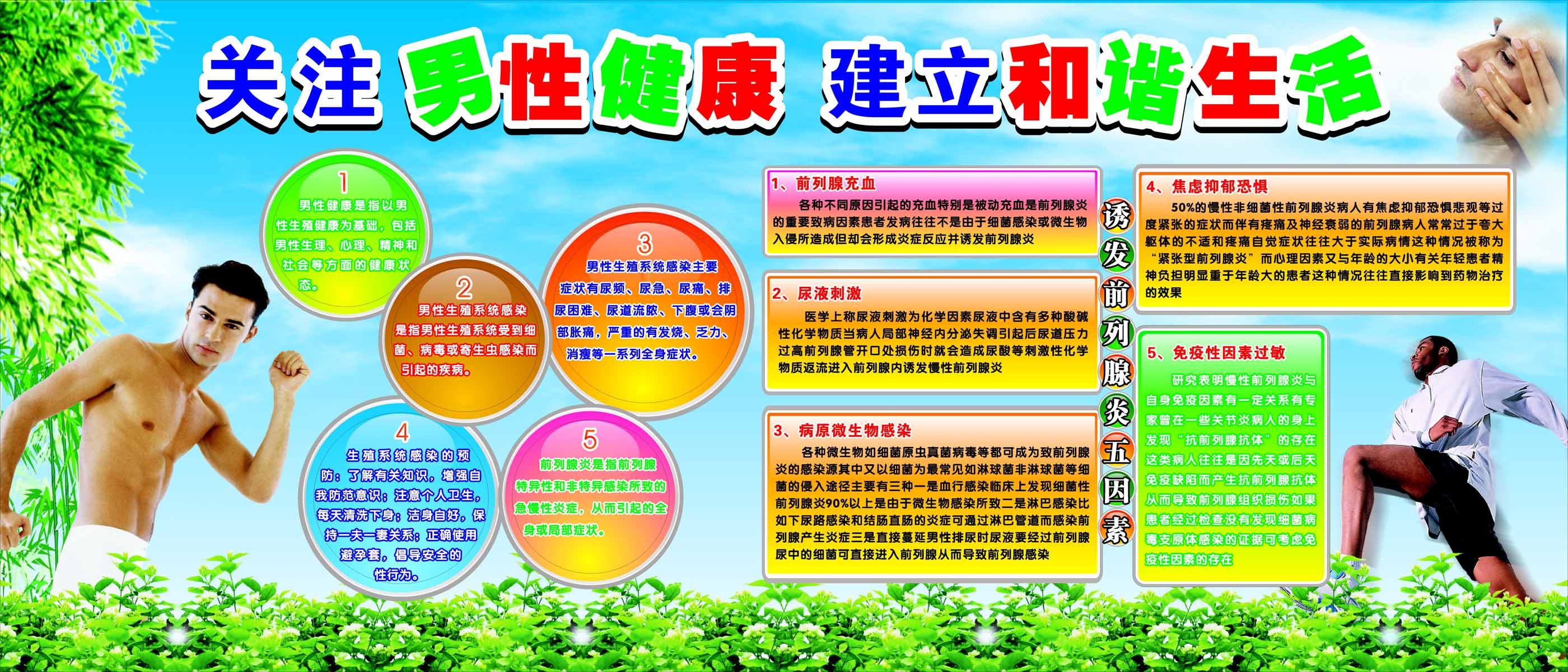 海报印制93素材健康展板330男性健康