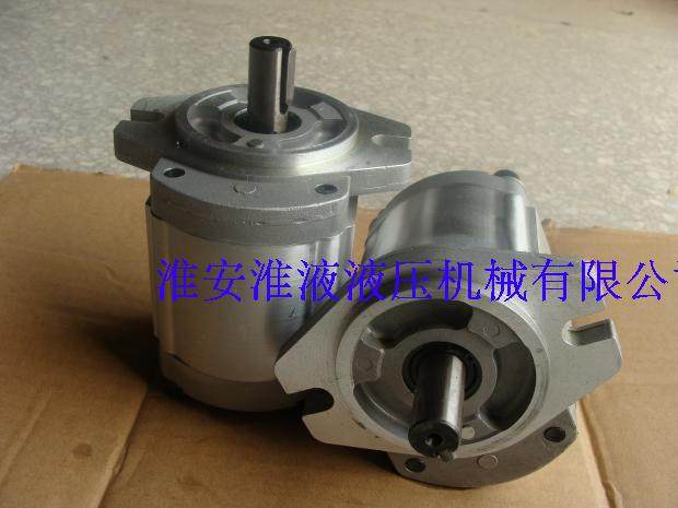CBK1006-B1FR gear pump