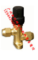 Qizhingbrand through globe valve (old body)