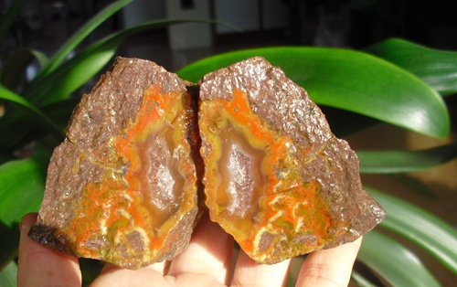 Western Liaoning natural strange stone sightseeing stone fossil tree fossil silicified wood Warring States red onyx fine rough stone 3382