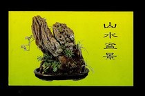 1996-6 Landscapes Bonsai Special Stamps Beijing Stamps Company Postal Discount