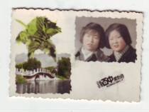 Old Photos (Public and Private Photo Gallery in the 1950s size 8 * 5 5cm)