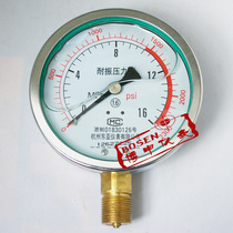 YN100 1 6Mpa seismic gauge seismic pressure gauge YN-100 oil pressure gauge hydraulic gauge vibration gauge East Asia instrument