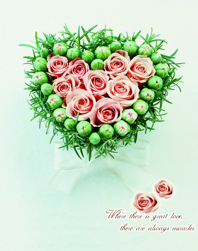 ������ҵ��þ���Ͻ�ֻ�������ӡд����������sg914