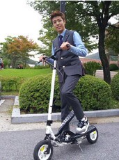 Самокат зум Ричмонд натуральная z150wingflyer взрослый