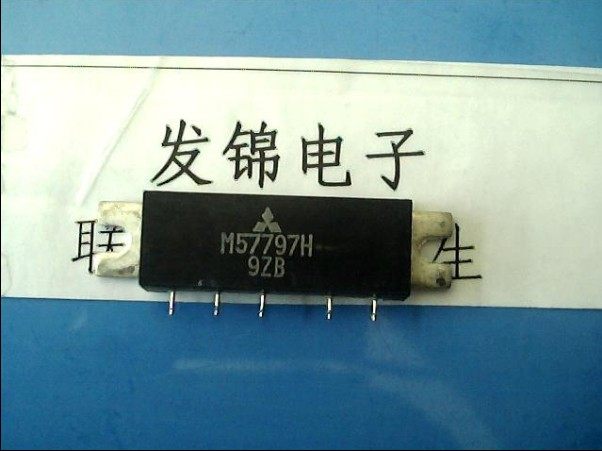 (Haired electronic) brand new original dress M57797H