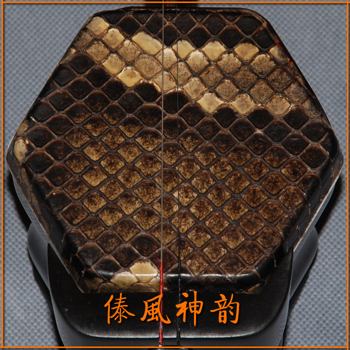 Dai style charm Burmese ebony professional performance type faucet embossed special erhu