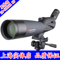 Shanghai General Store Star Trung CELESTRON Ultima20-60X80A ED bird watching mirror