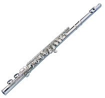 Butterfly card 17 closed hole plated nickel long flute with E key to divide B tail Atlantic instrument