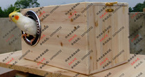 Solid wood tiger skin Xuanfeng peony peony Phoenix parrot breeding box super anti-bite ring bird nest box send station stick horizontal bird cage